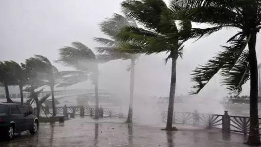 8月臺(tái)風(fēng)雨即將來，除濕機(jī)還得用起來