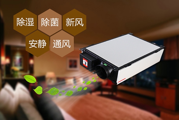 如何預(yù)防辦公室裝修后的防潮問題？