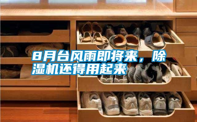 8月臺(tái)風(fēng)雨即將來，除濕機(jī)還得用起來