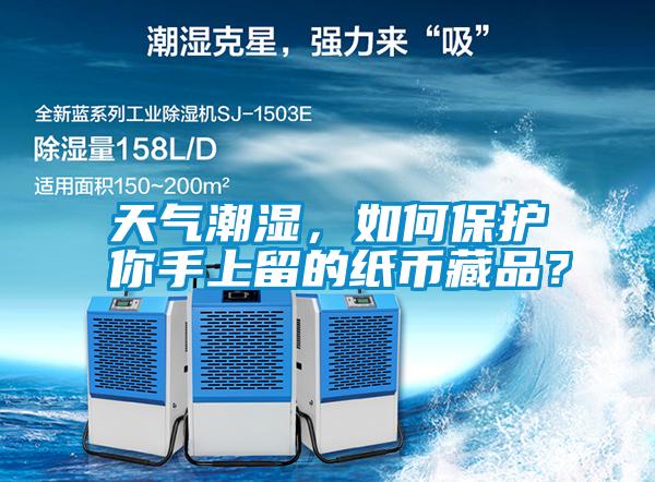 天氣潮濕，如何保護(hù)你手上留的紙幣藏品？