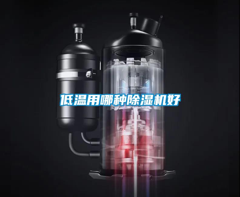 低溫用哪種除濕機(jī)好