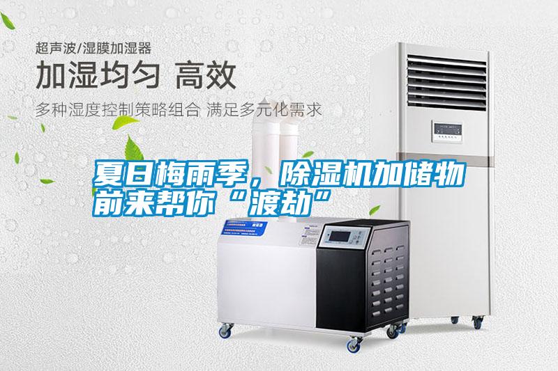 夏日梅雨季，除濕機(jī)加儲(chǔ)物前來(lái)幫你“渡劫”