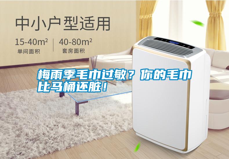 梅雨季毛巾過敏？你的毛巾比馬桶還臟！