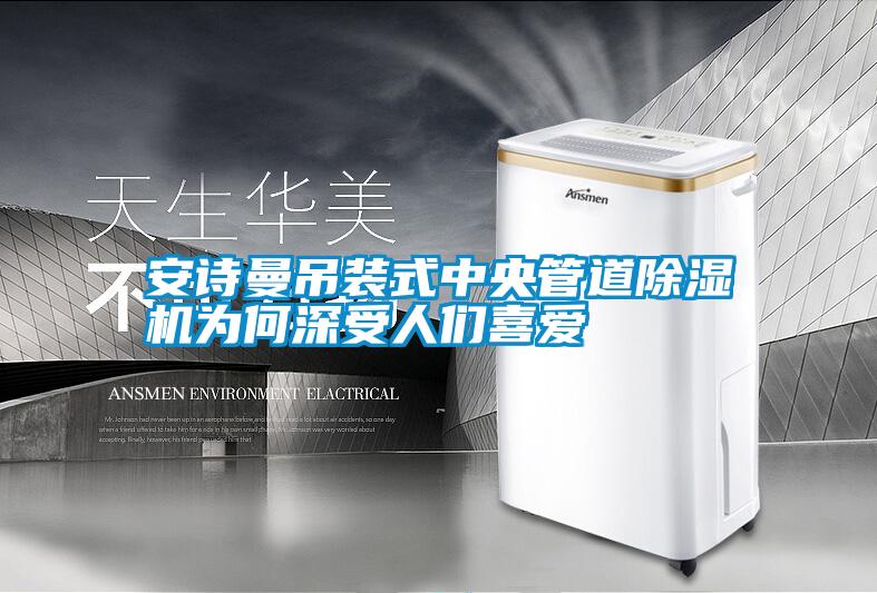 安詩(shī)曼吊裝式中央管道除濕機(jī)為何深受人們喜愛