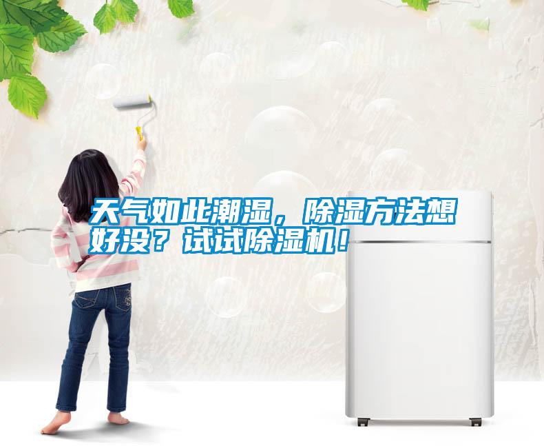 天氣如此潮濕，除濕方法想好沒？試試除濕機！