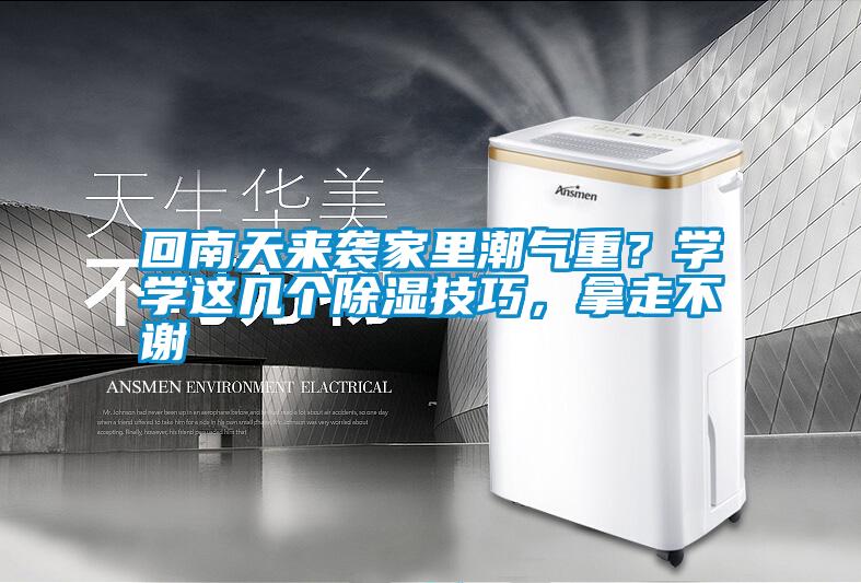 回南天來襲家里潮氣重？學學這幾個除濕技巧，拿走不謝