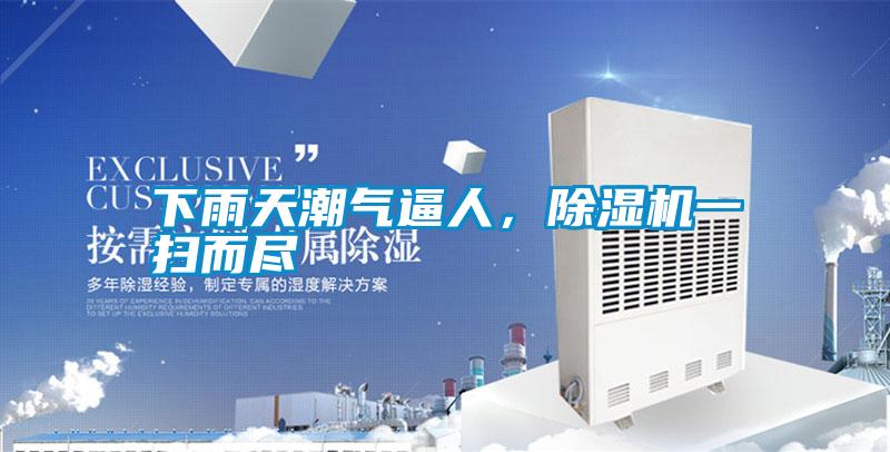 下雨天潮氣逼人，除濕機一掃而盡
