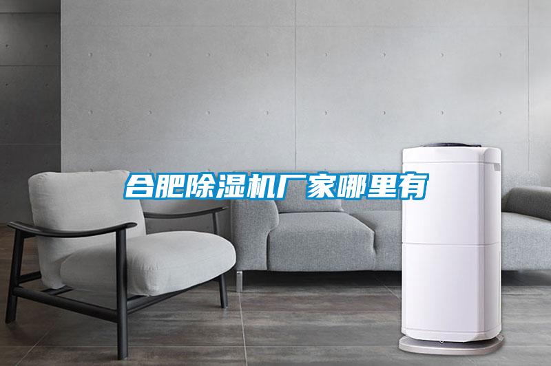 合肥除濕機(jī)廠家哪里有