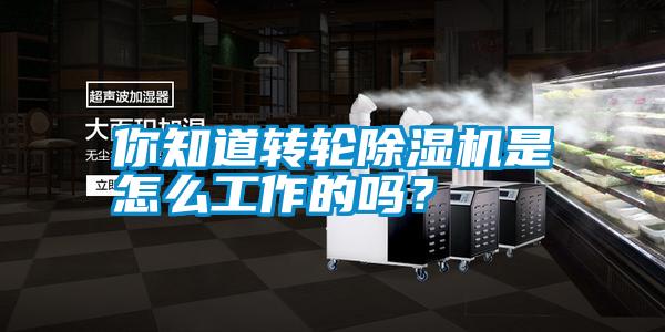 你知道轉(zhuǎn)輪除濕機是怎么工作的嗎？