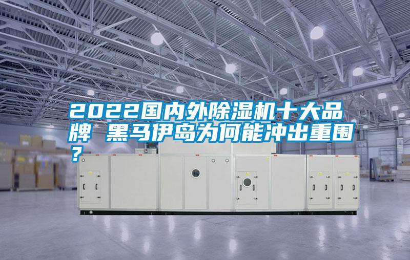2022國內(nèi)外除濕機十大品牌 黑馬伊島為何能沖出重圍？
