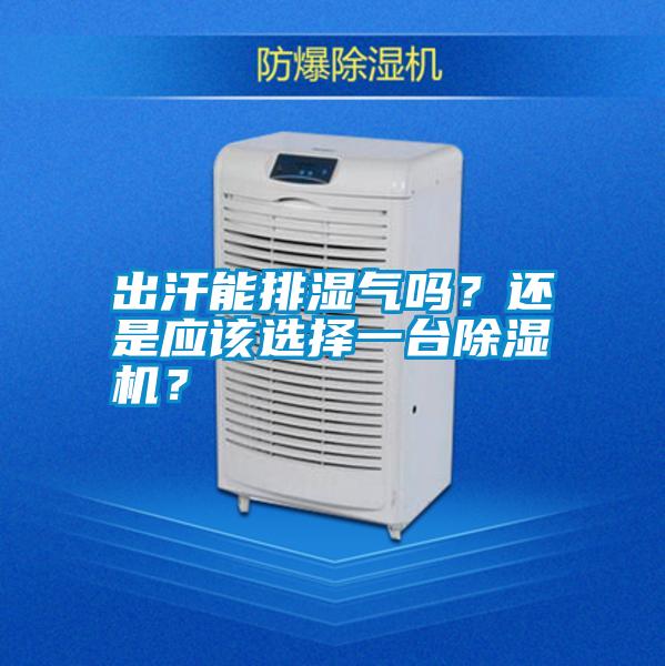 出汗能排濕氣嗎？還是應(yīng)該選擇一臺(tái)除濕機(jī)？