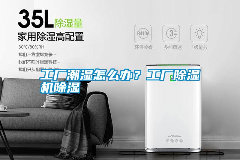 工廠潮濕怎么辦？工廠除濕機除濕