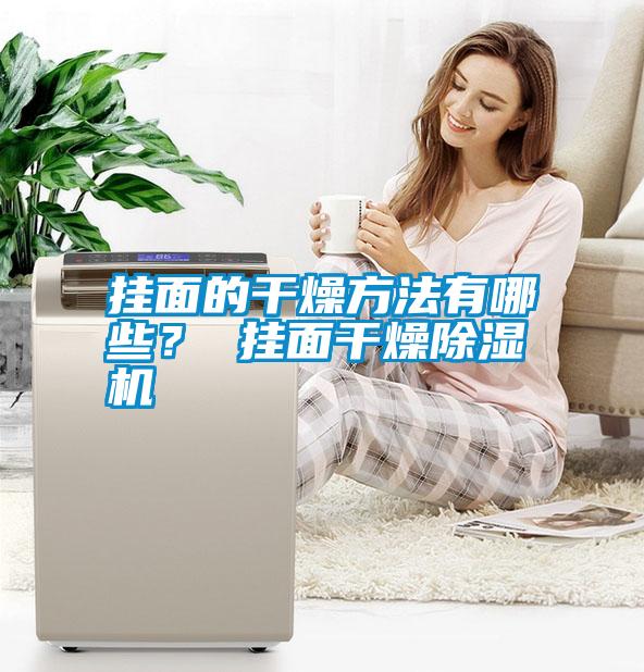 掛面的干燥方法有哪些？ 掛面干燥除濕機(jī)