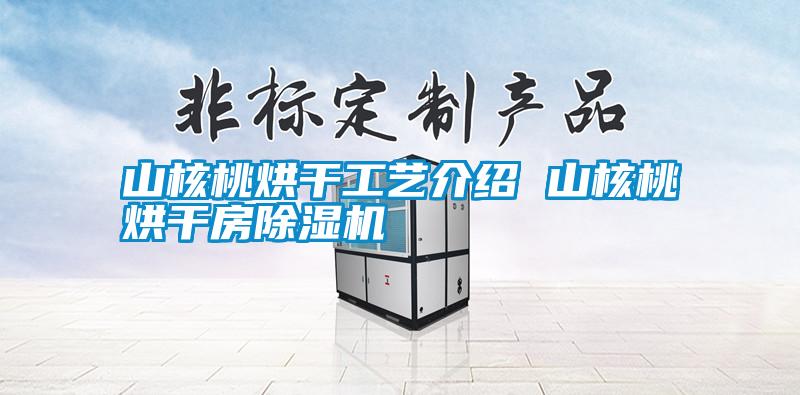 山核桃烘干工藝介紹 山核桃烘干房除濕機(jī)