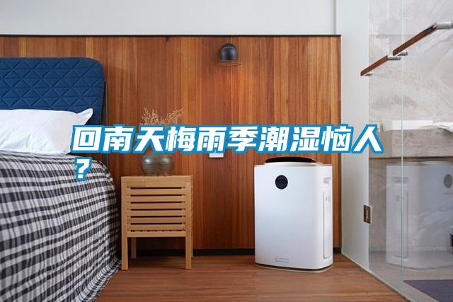 回南天梅雨季潮濕惱人？
