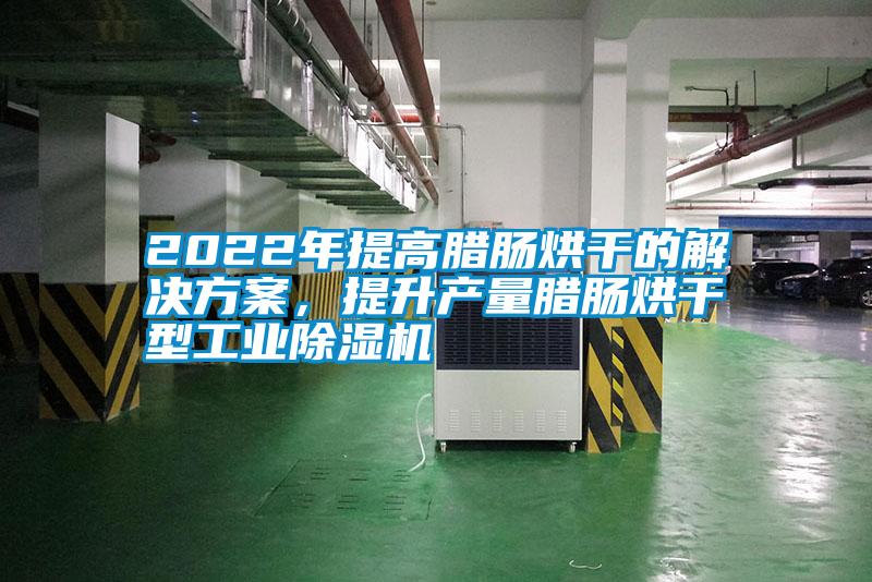 2022年提高臘腸烘干的解決方案，提升產(chǎn)量臘腸烘干型工業(yè)除濕機