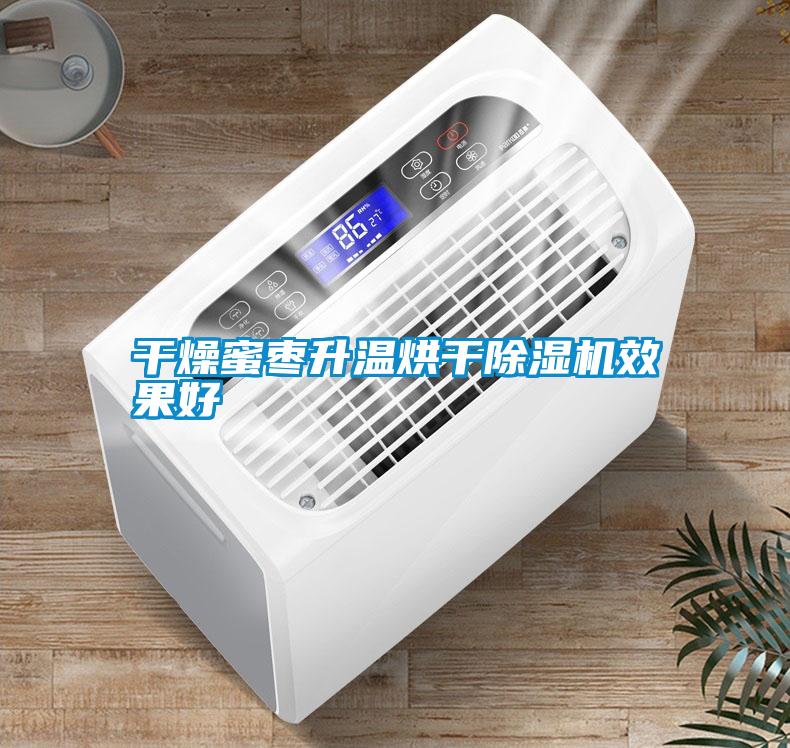 干燥蜜棗升溫烘干除濕機效果好