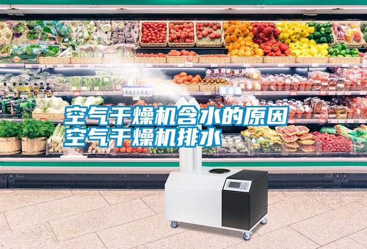 空氣干燥機(jī)含水的原因 空氣干燥機(jī)排水