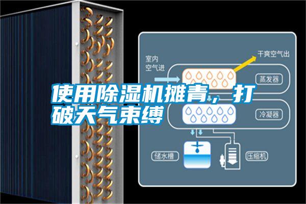 使用除濕機攤青，打破天氣束縛