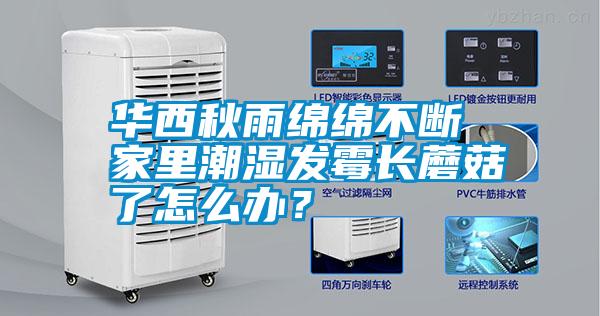 華西秋雨綿綿不斷 家里潮濕發(fā)霉長蘑菇了怎么辦？