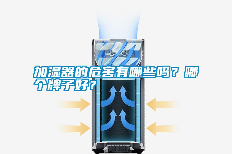 加濕器的危害有哪些嗎？哪個牌子好？