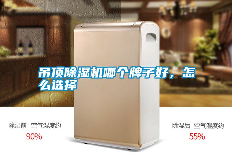 吊頂除濕機(jī)哪個(gè)牌子好，怎么選擇
