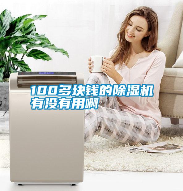 100多塊錢的除濕機(jī)有沒(méi)有用啊