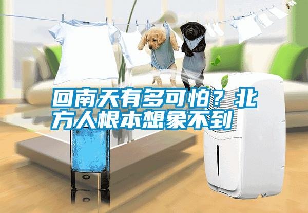 回南天有多可怕？北方人根本想象不到
