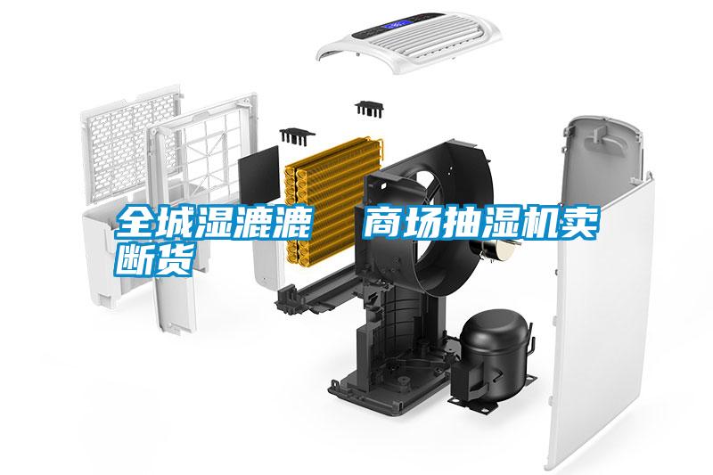 全城濕漉漉  商場(chǎng)抽濕機(jī)賣斷貨