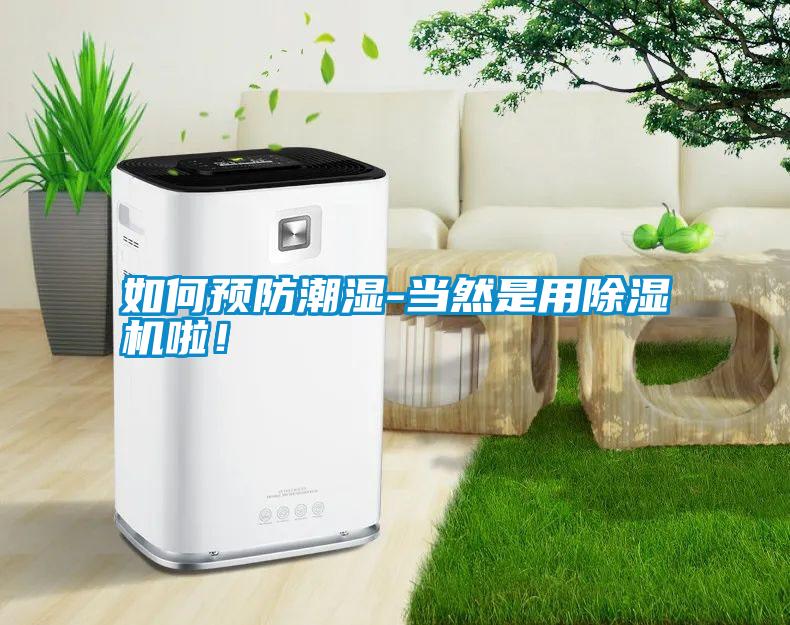 如何預(yù)防潮濕-當(dāng)然是用除濕機(jī)啦！