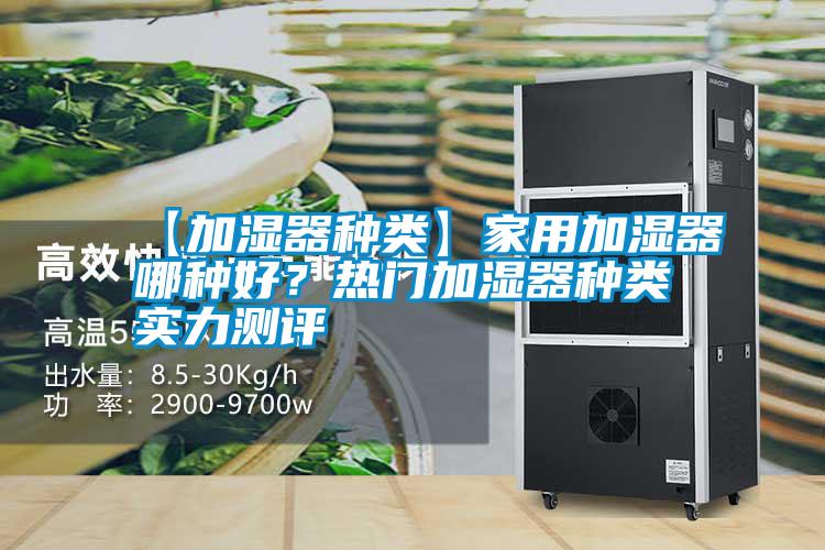 【加濕器種類】家用加濕器哪種好？熱門加濕器種類實力測評