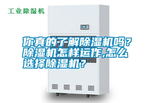 你真的了解除濕機(jī)嗎？除濕機(jī)怎樣運(yùn)作,怎么選擇除濕機(jī)？