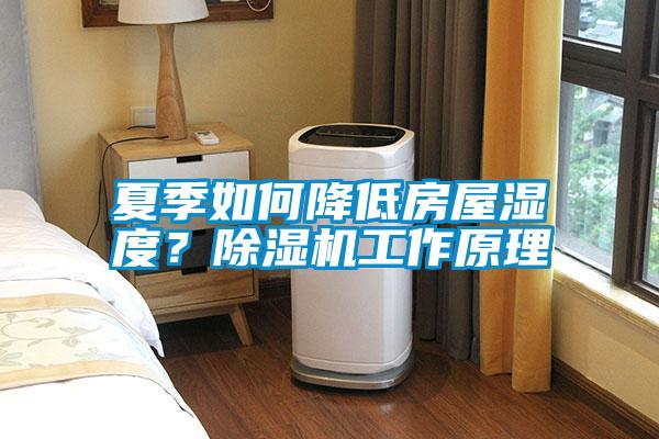 夏季如何降低房屋濕度？除濕機(jī)工作原理
