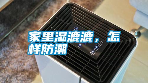 家里濕漉漉，怎樣防潮