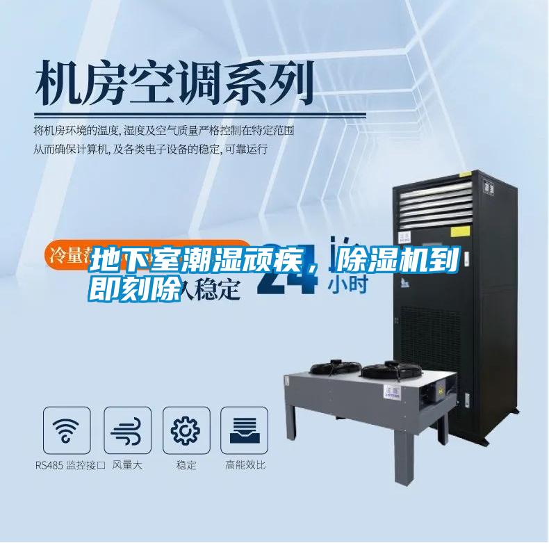 地下室潮濕頑疾，除濕機到即刻除