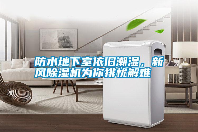 防水地下室依舊潮濕，新風除濕機為你排憂解難