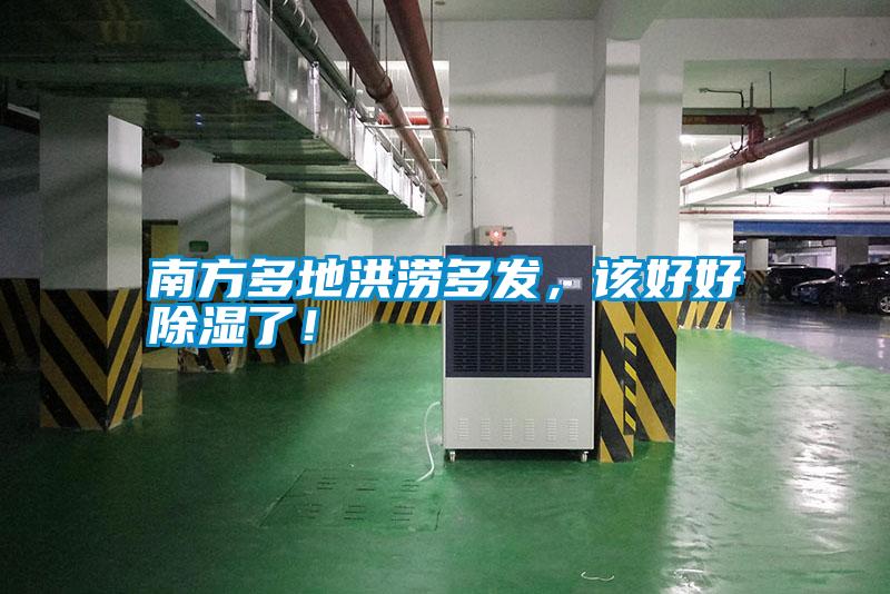 南方多地洪澇多發(fā)，該好好除濕了！