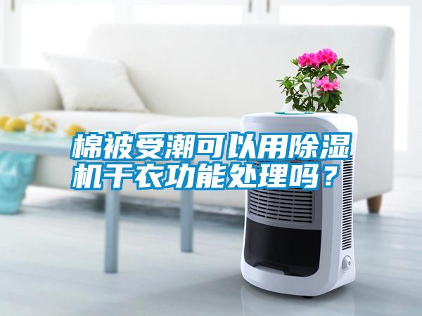 棉被受潮可以用除濕機(jī)干衣功能處理嗎？