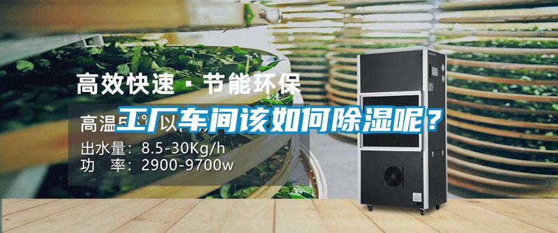工廠車間該如何除濕呢？