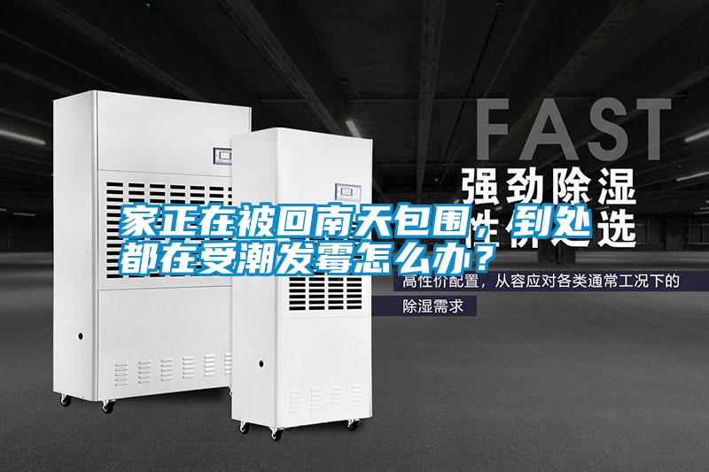 家正在被回南天包圍，到處都在受潮發(fā)霉怎么辦？