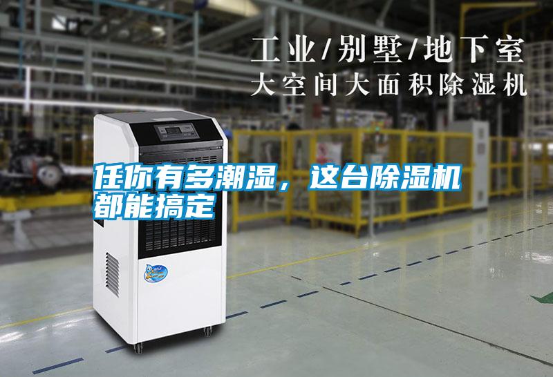 任你有多潮濕，這臺除濕機都能搞定