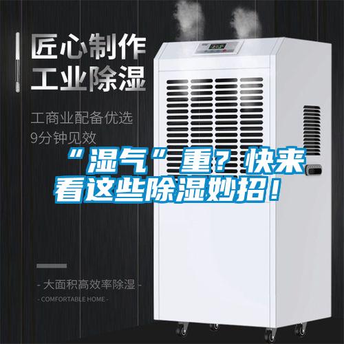 “濕氣”重？快來看這些除濕妙招！