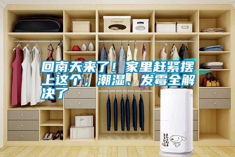 回南天來了！家里趕緊擺上這個，潮濕、發(fā)霉全解決了