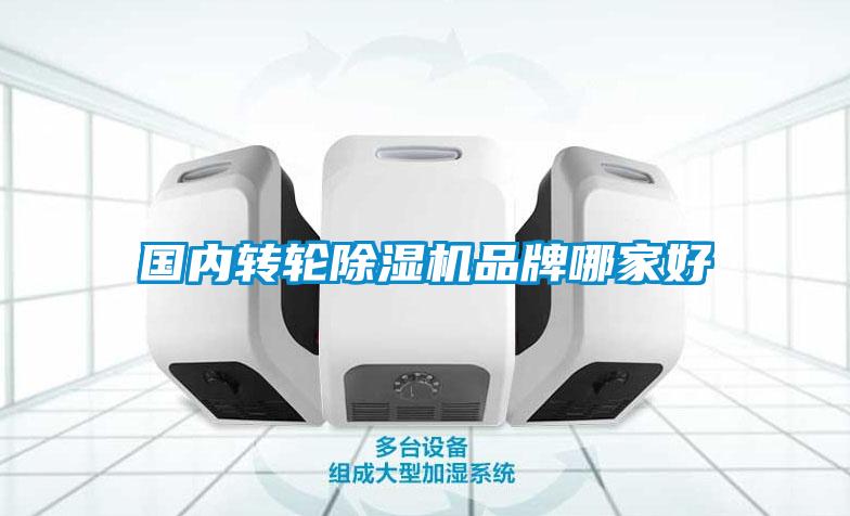 國內(nèi)轉(zhuǎn)輪除濕機品牌哪家好