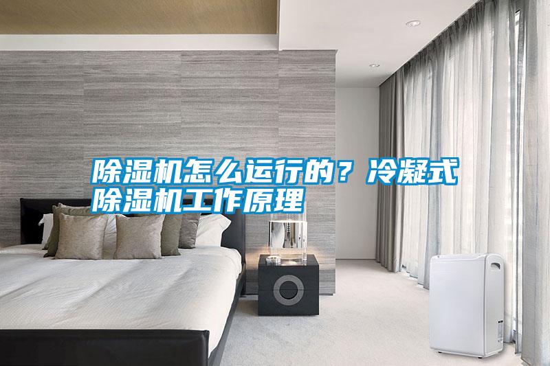 除濕機(jī)怎么運(yùn)行的？冷凝式除濕機(jī)工作原理