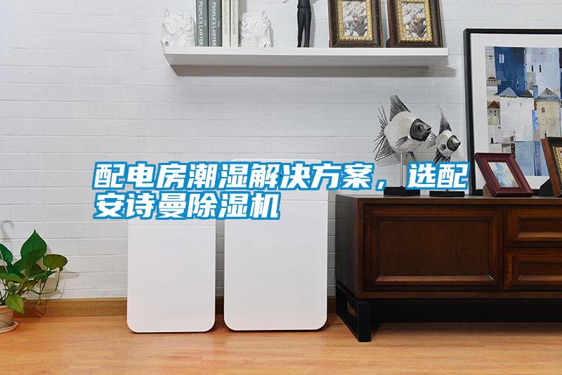 配電房潮濕解決方案，選配安詩曼除濕機(jī)