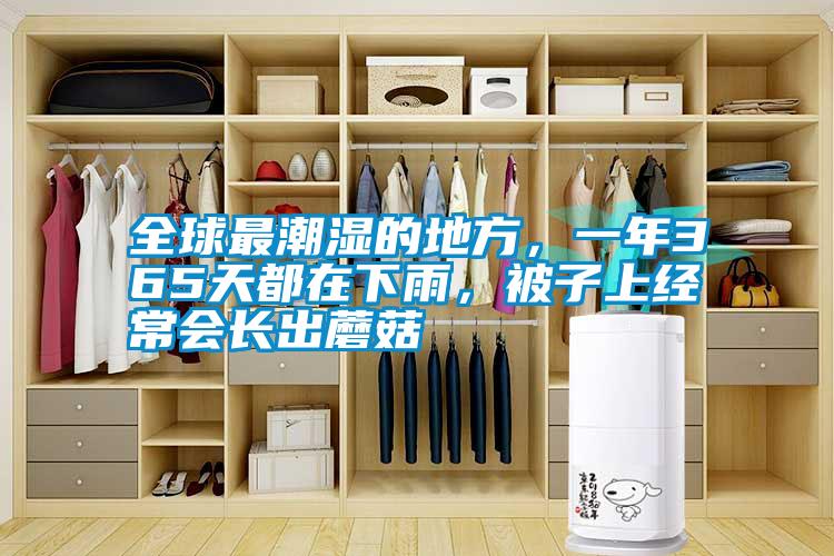 全球最潮濕的地方，一年365天都在下雨，被子上經(jīng)常會長出蘑菇
