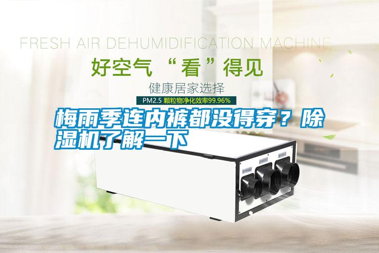 梅雨季連內(nèi)褲都沒得穿？除濕機(jī)了解一下
