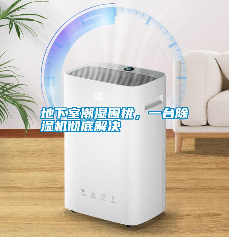 地下室潮濕困擾，一臺除濕機徹底解決