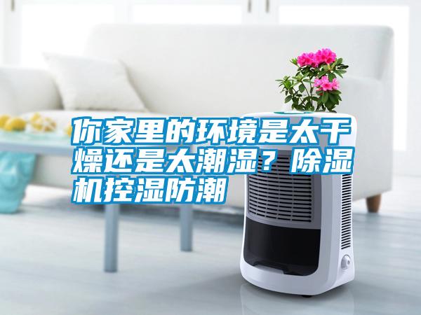 你家里的環(huán)境是太干燥還是太潮濕？除濕機控濕防潮